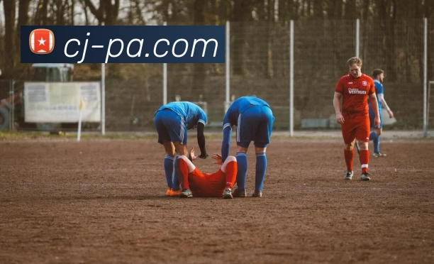 PA真人官网平台生态图