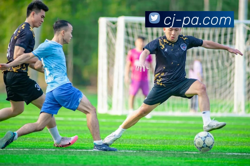 PA真人官网全站App